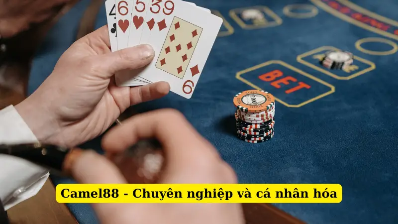 Camel88 - Chuyên nghiệp và cá nhân hóa